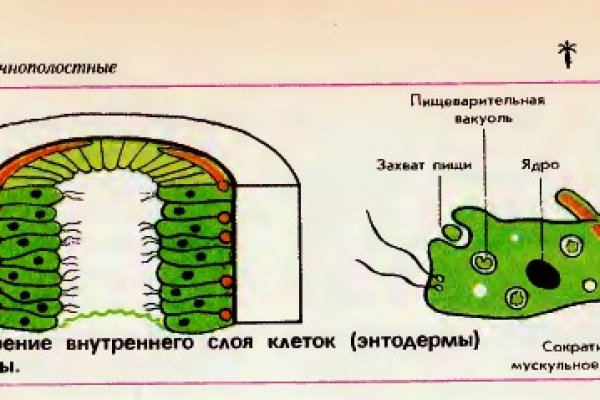 Ссылка omg omg для тор