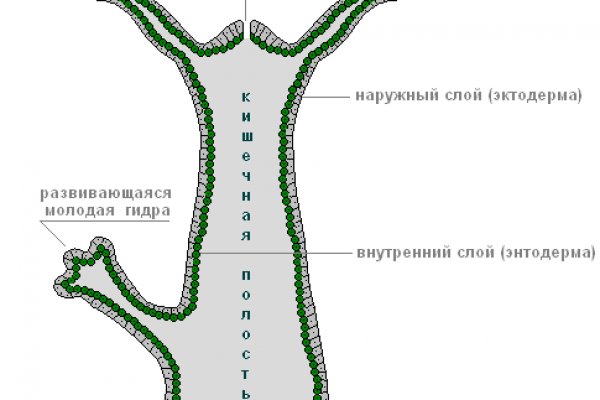 Омг омг зеркало сайт